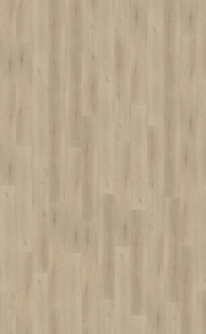 Palazzo plank XL 730