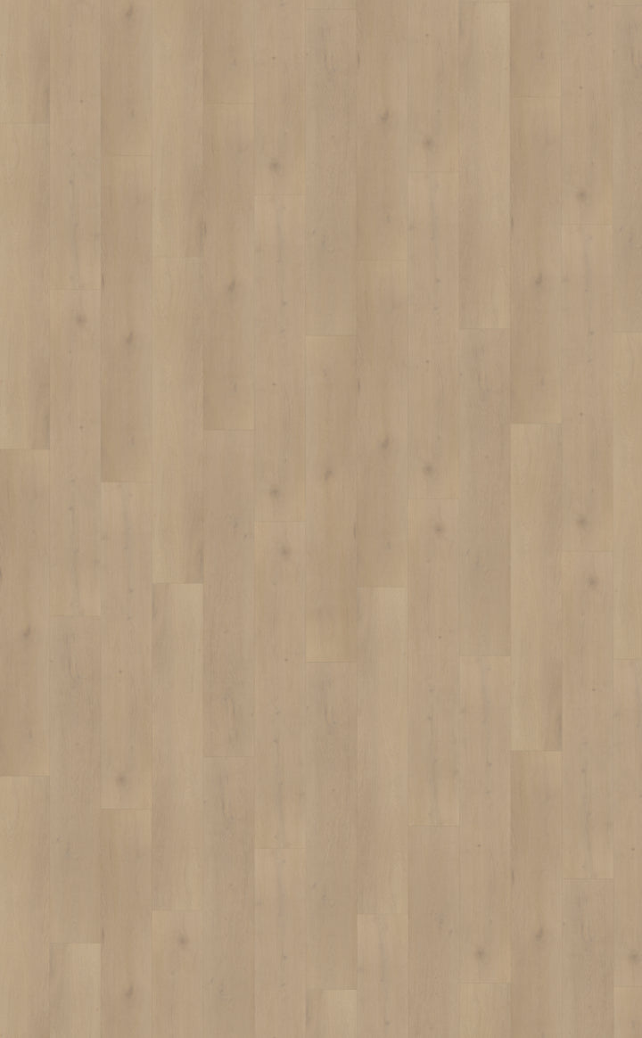 Palazzo plank XL 770