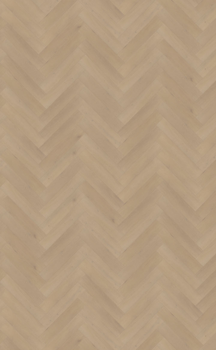 Palazzo visgraat XL 77