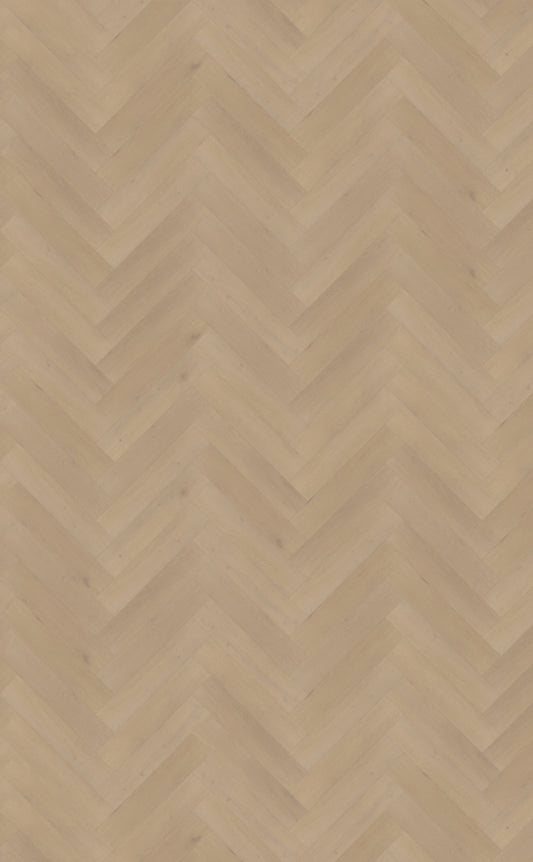 Palazzo visgraat XL 77