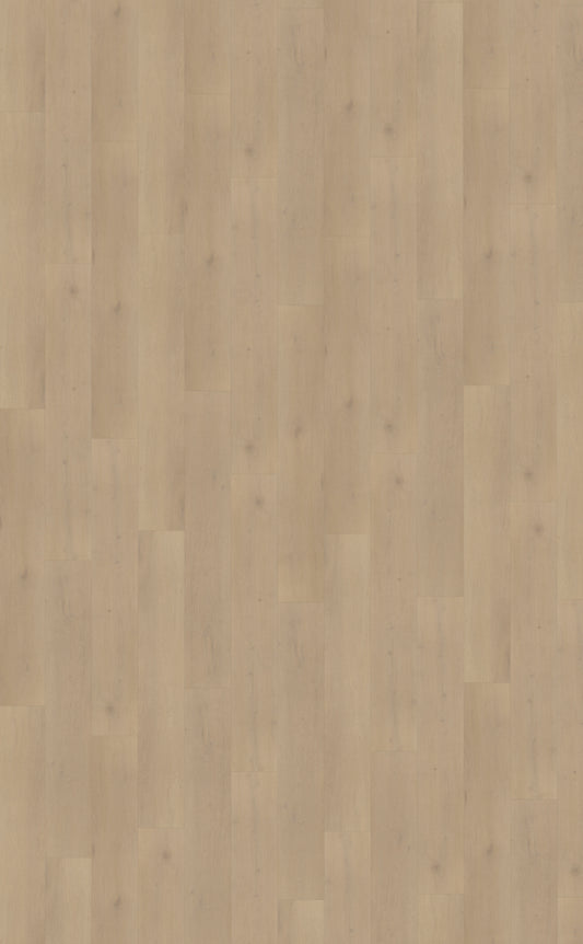 Palazzo plank XL 770